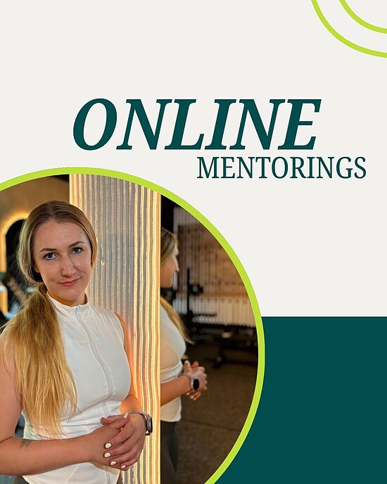Indivuduālais mentorings